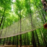 Comment choisir le meilleur filet accrobranche pour votre parc aventure
